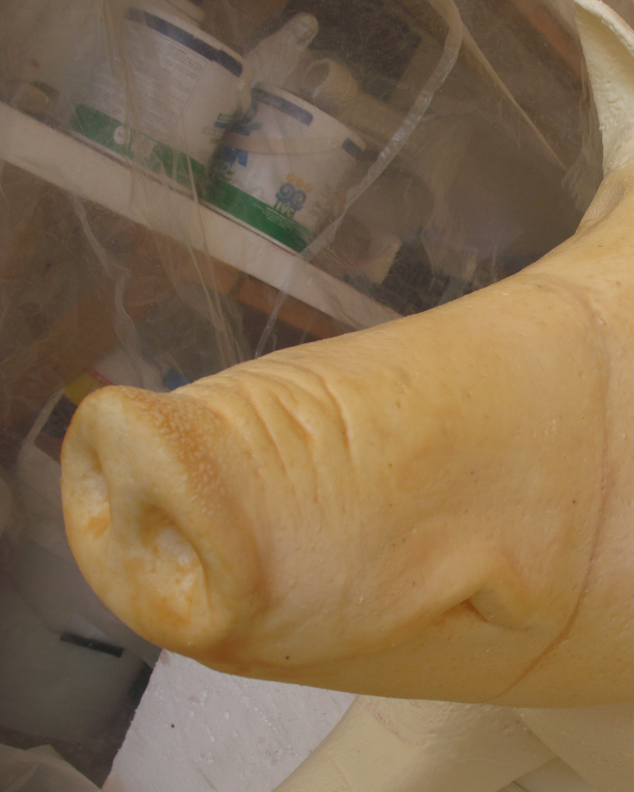 Sculture