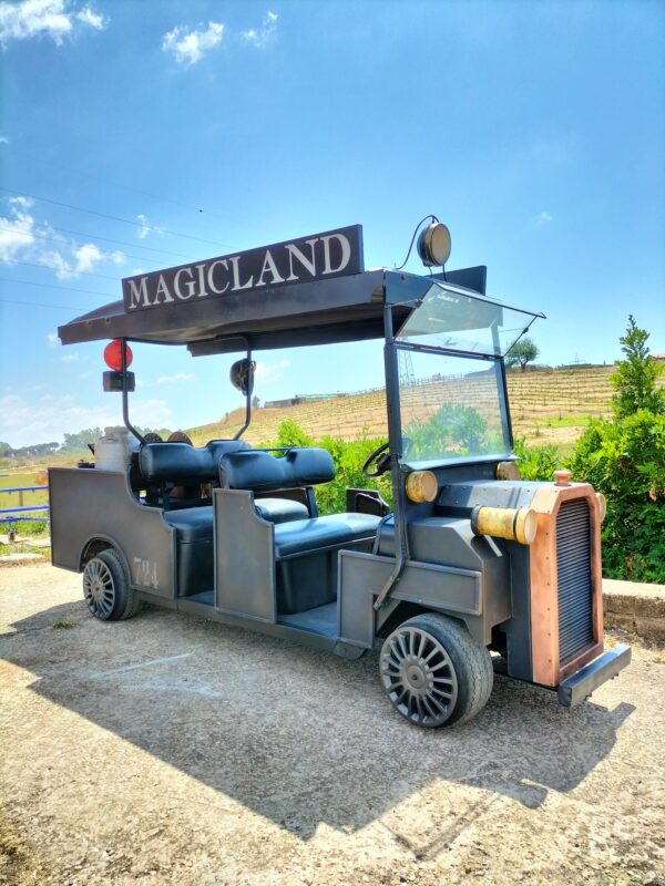 Golfcar Tematizzata Raimbow Magicland